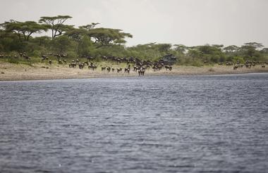 &Beyond Serengeti Under Canvas