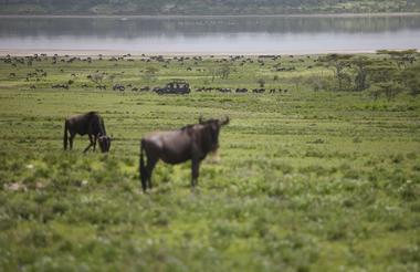 &Beyond Serengeti Under Canvas